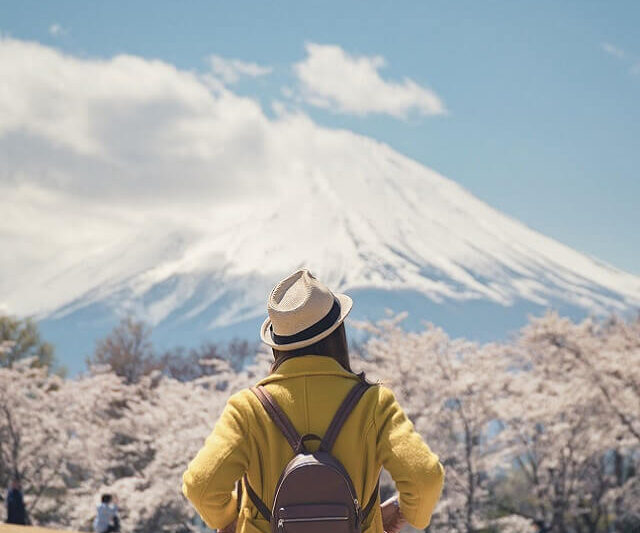 Darshan Tour - 9 Devis